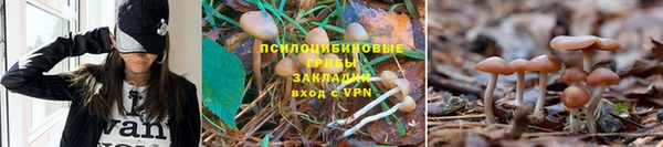 эйфоретик Навашино