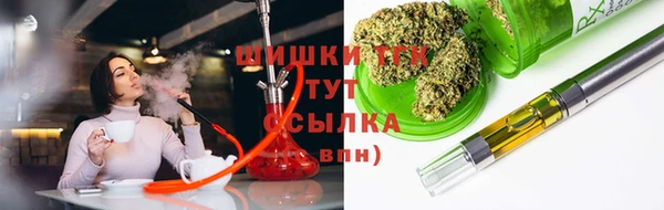 амф Надым