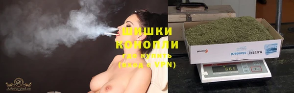 тгк Мещовск