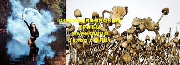 эйфоретик Навашино