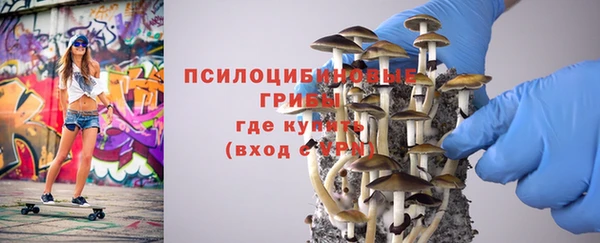 сатива Наволоки