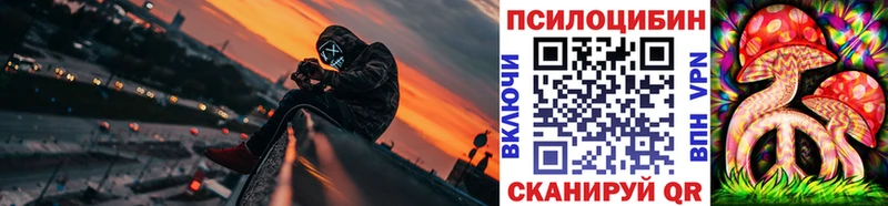 kraken как войти Саров Галлюциногенные грибы Psilocybine cubensis