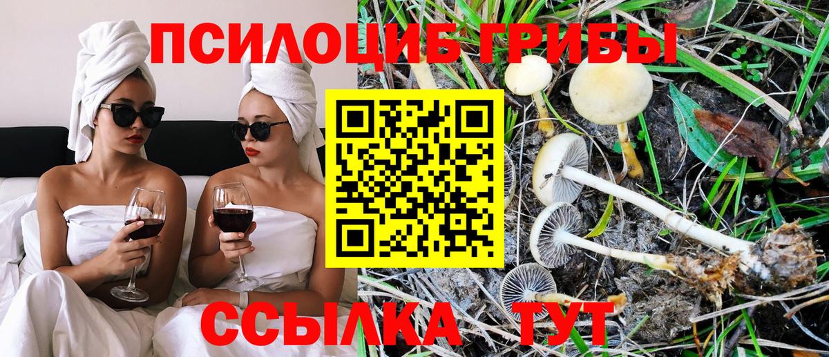 Саров  Псилоцибиновые грибы прущие грибы  сколько стоит  Вход с VPN 