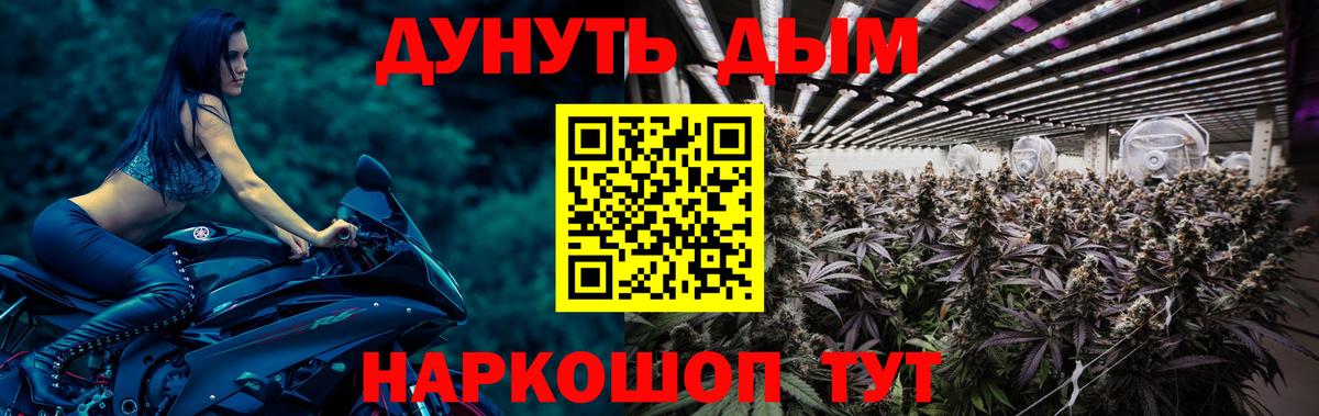 МАРИХУАНА план  Вход с VPN  Бошки Шишки конопля  Саров  Марихуана AK-47 